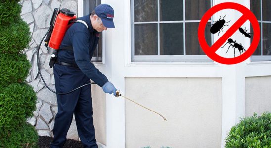 Arapgir Kemirgen İlaçlama böcek ilaçlama ve haşere kontrolü — ilaclama-tr.com